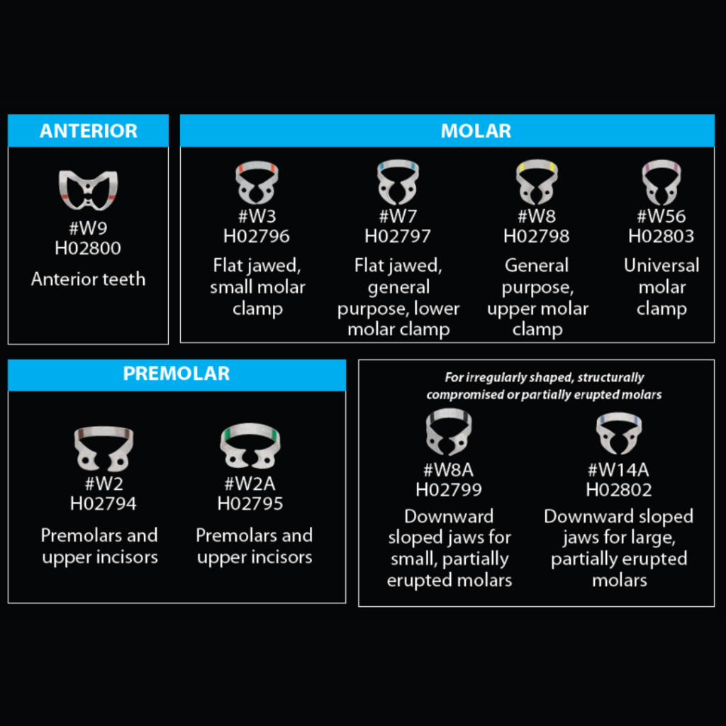 Untitled design (21)